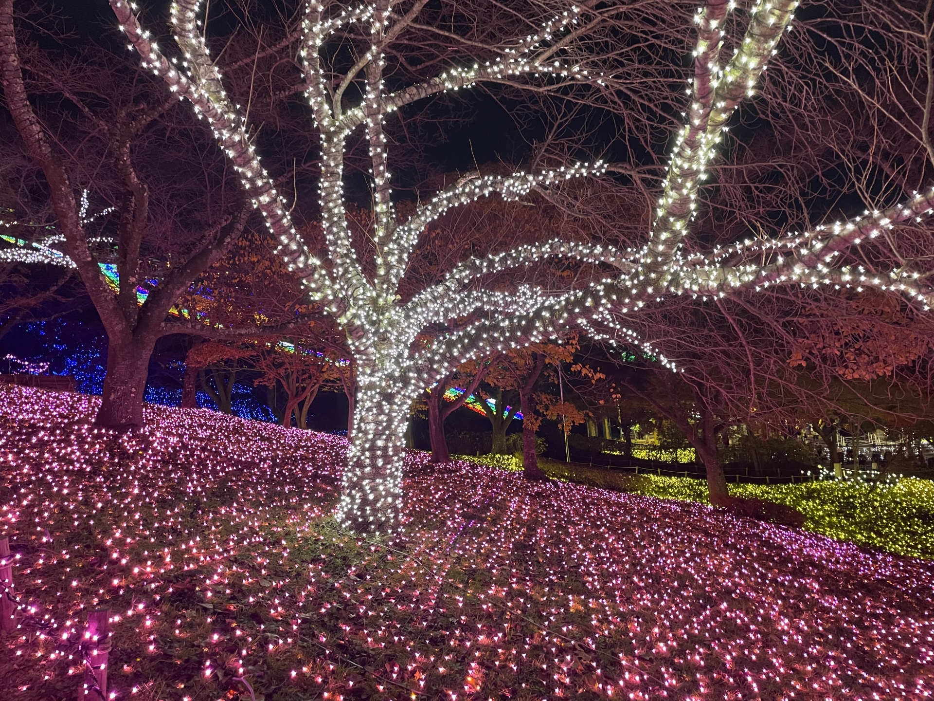 さがみ湖 MORI MORI