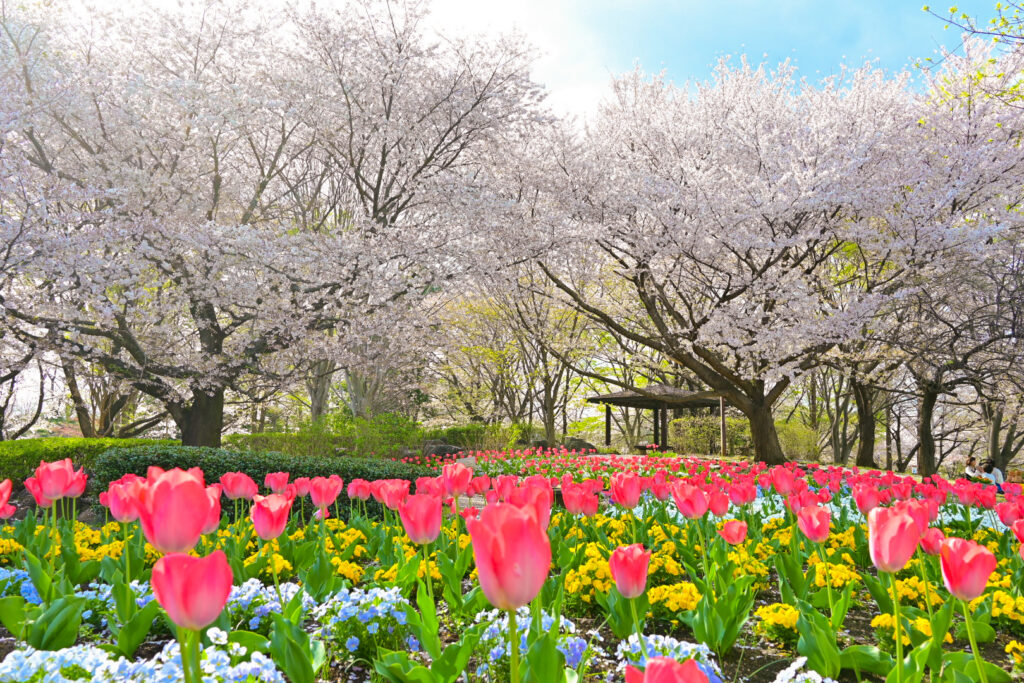 大宮花の丘農林公苑