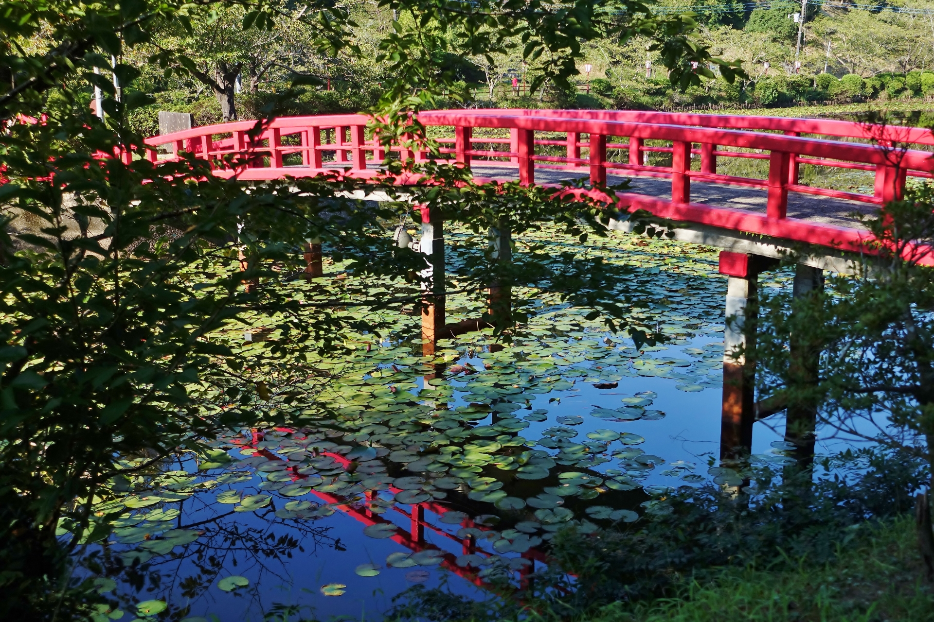 茂原公園