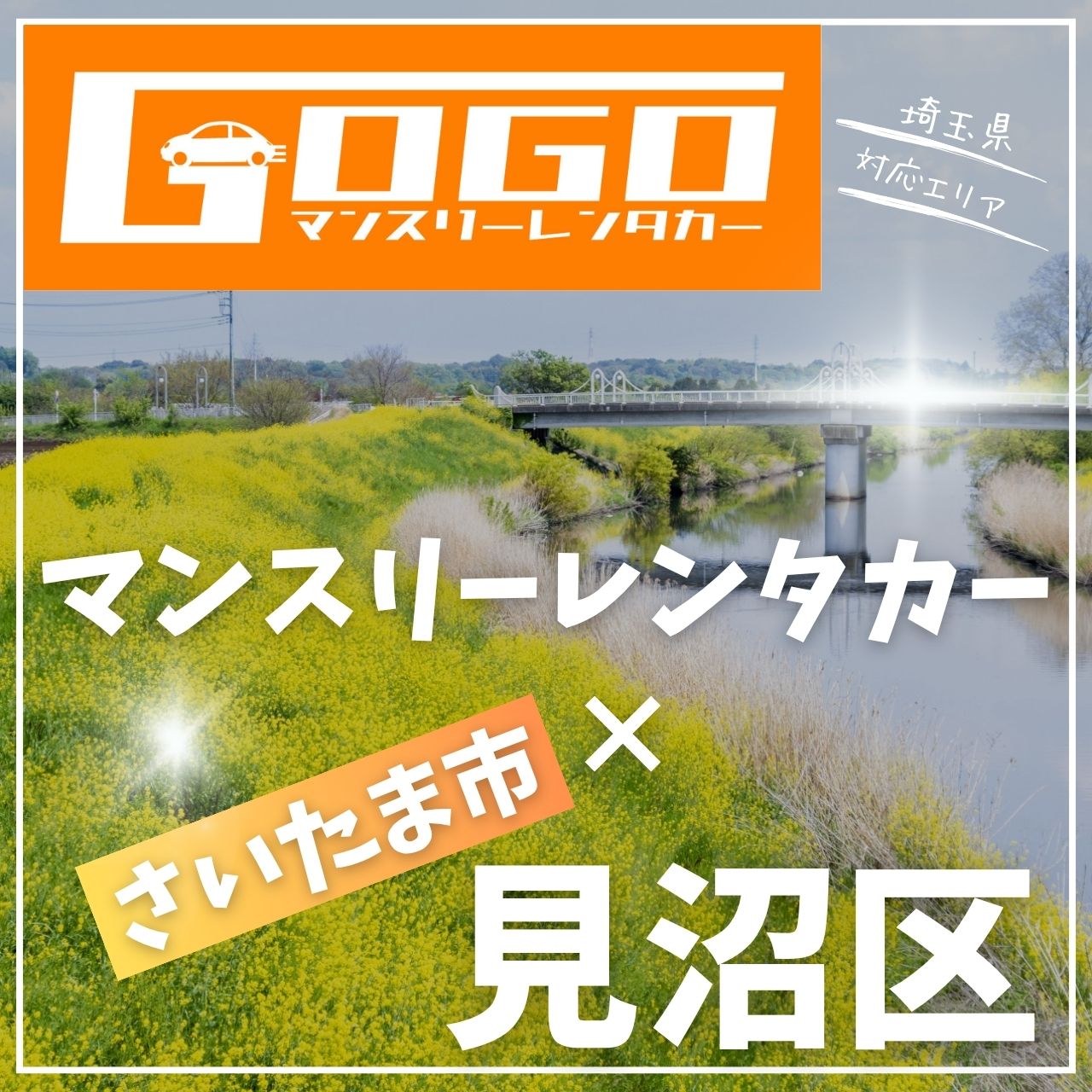 さいたま市見沼区のマンスリーレンタカー