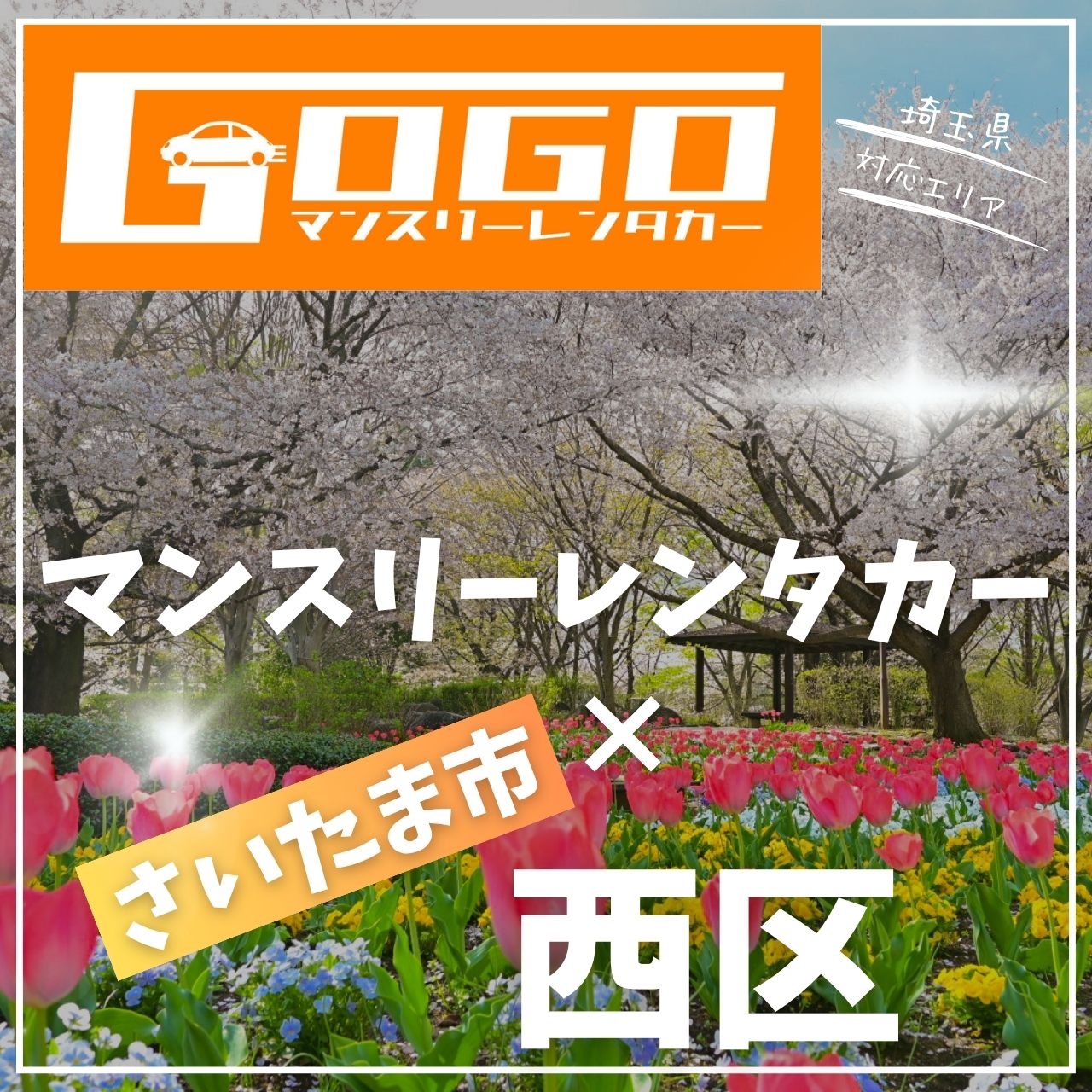 さいたま市西区のマンスリーレンタカー