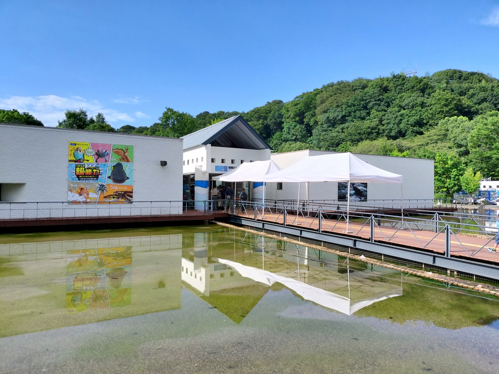 相模川ふれあい科学館 アクアリウムさがみはら