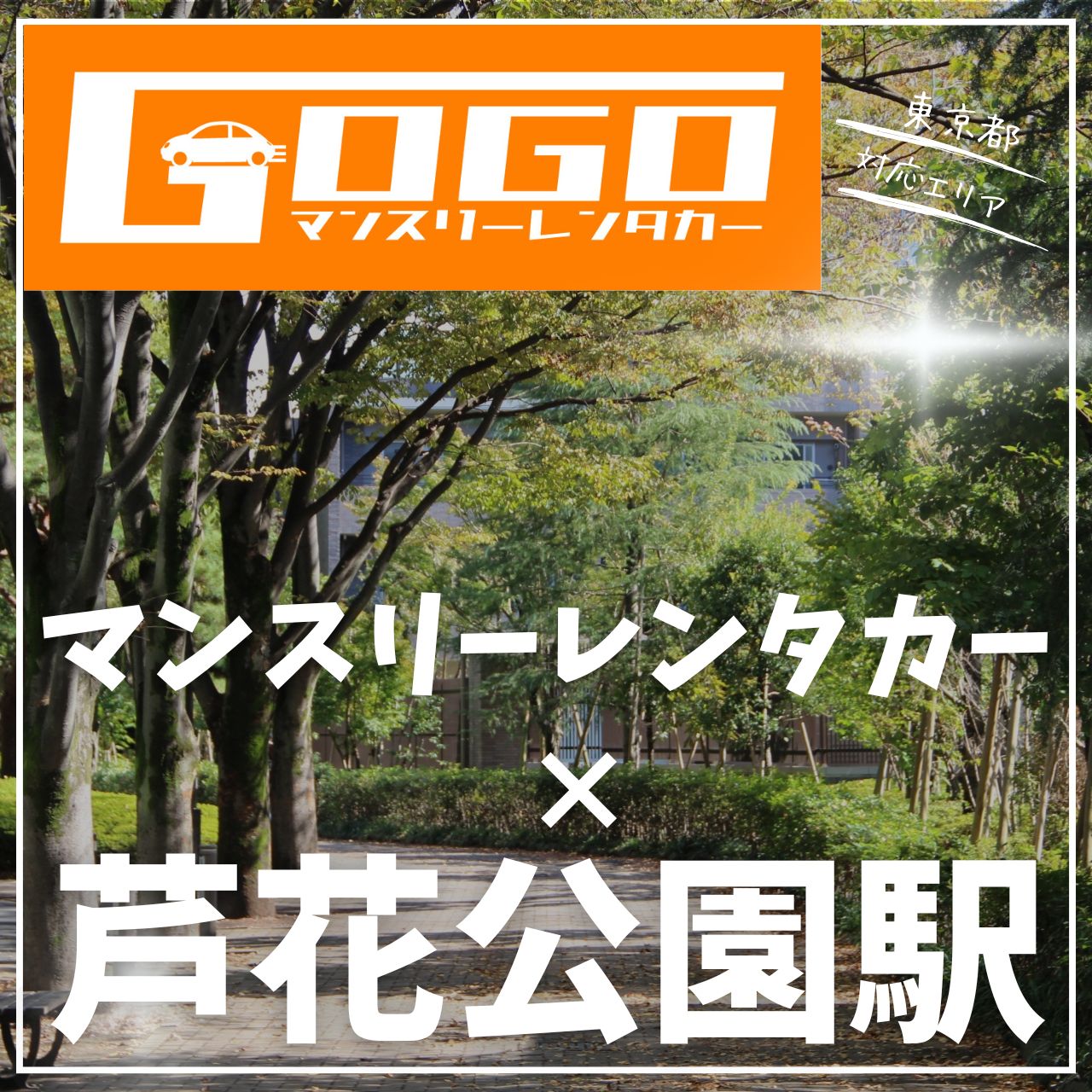 芦花公園駅で乗り捨てできるレンタカー